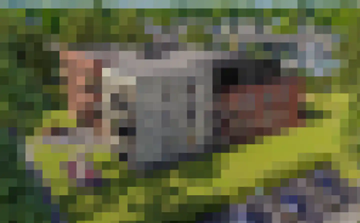 De Oude Kolk 17 en Leersum