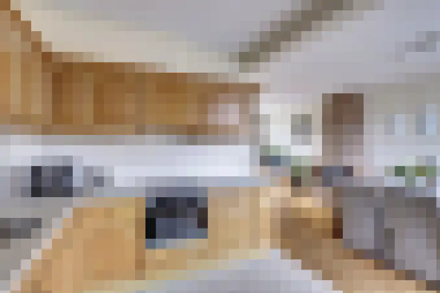 De Oude Kolk 9 Leersum thumbnail 13