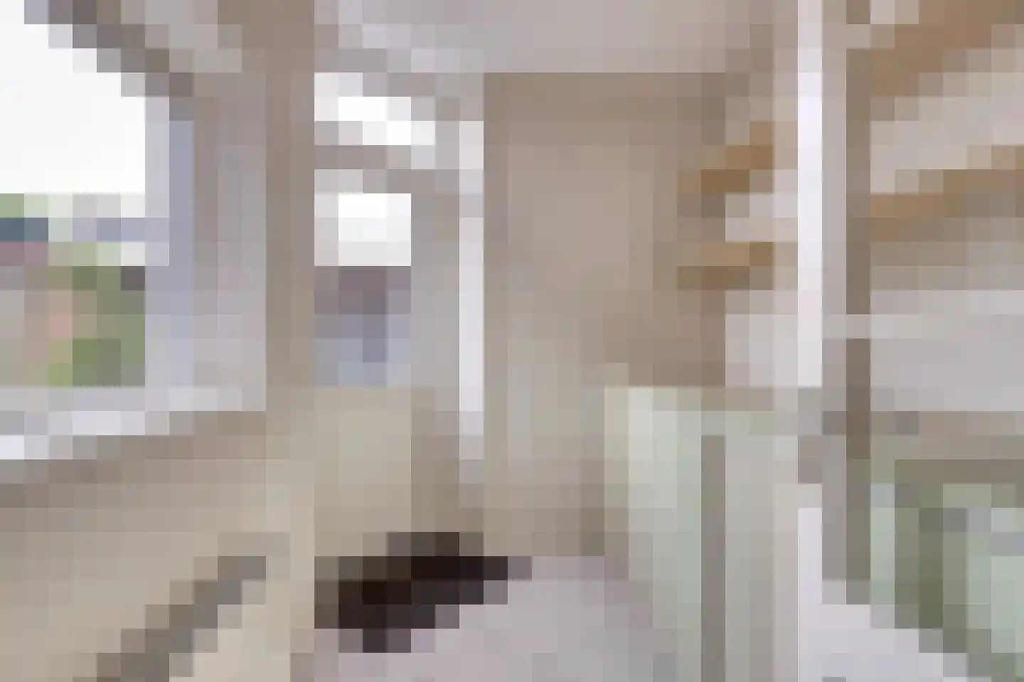 De Oude Kolk 9 Leersum thumbnail 16