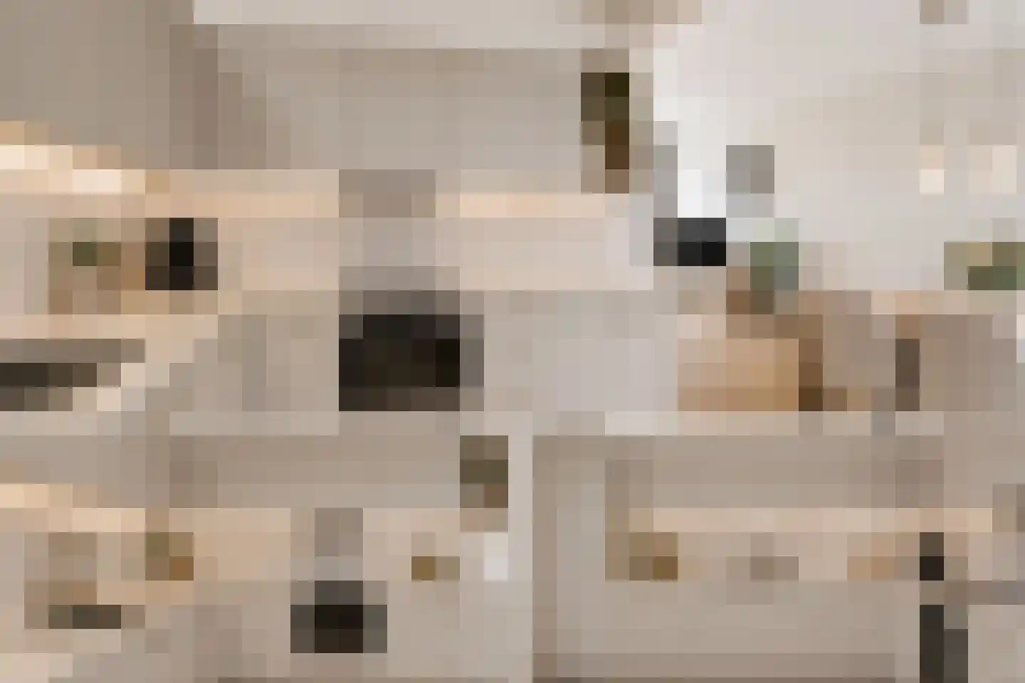 De Oude Kolk 9 Leersum thumbnail 18