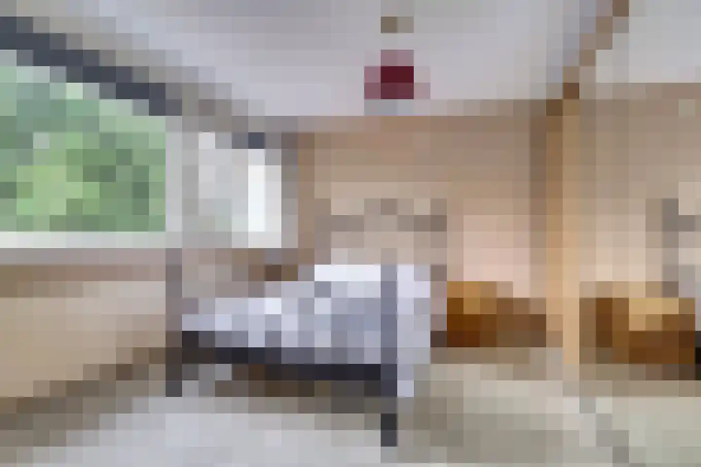 De Oude Kolk 9 Leersum thumbnail 22