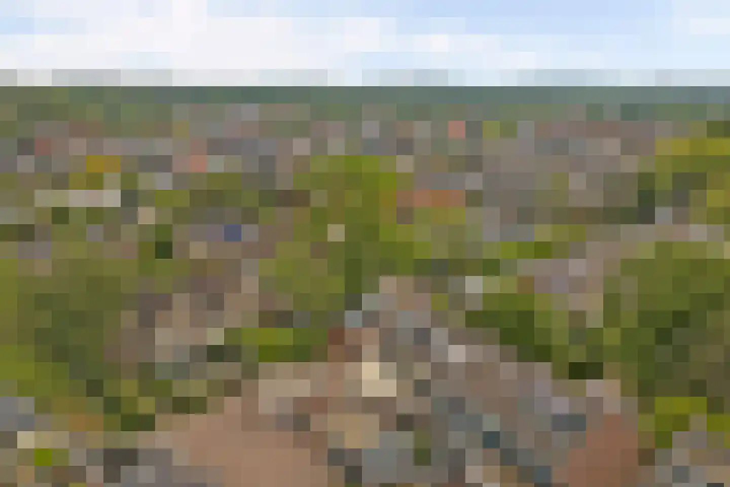 De Oude Kolk 9 Leersum thumbnail 49