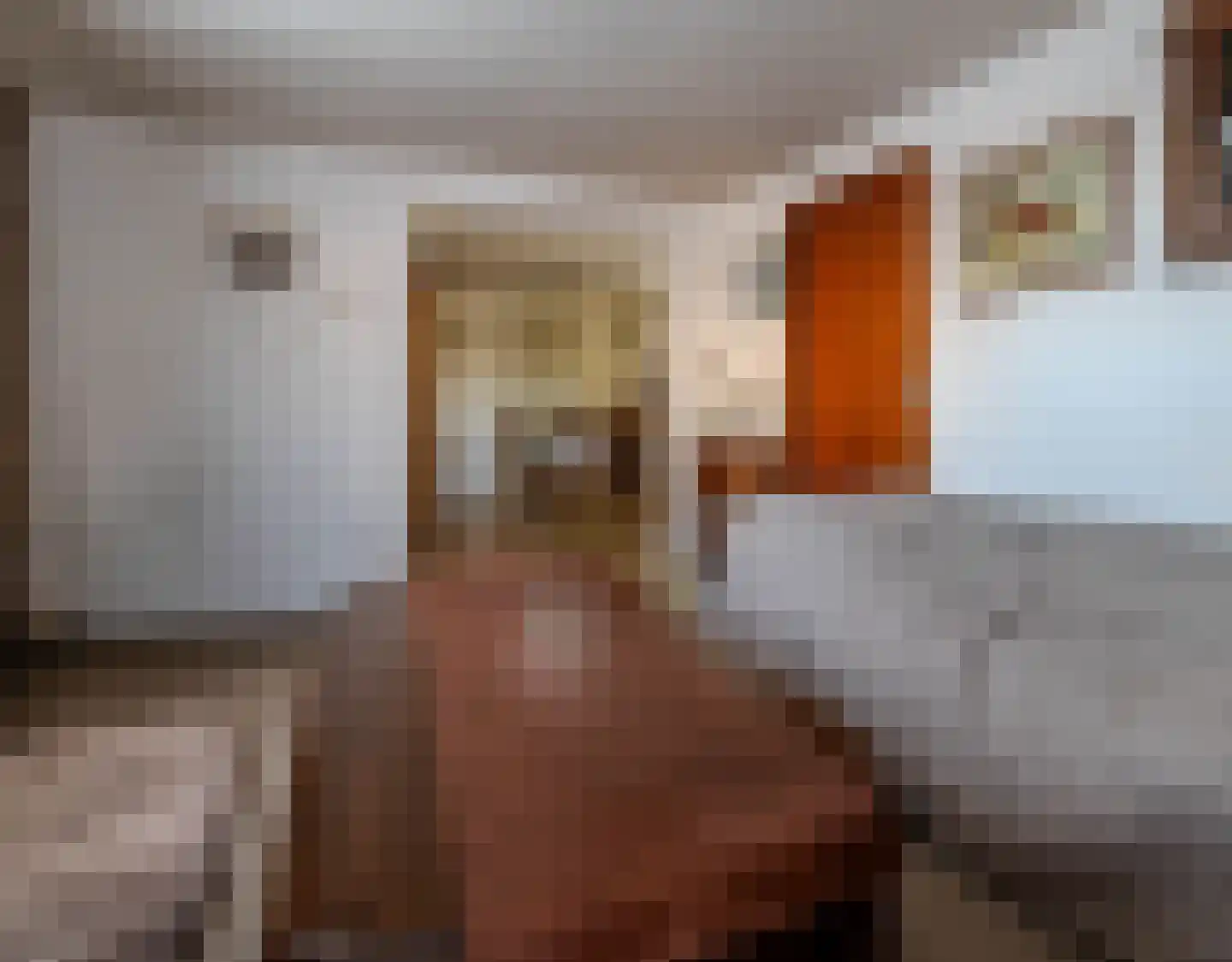de Oude Melkhaven 20 Raamsdonk thumbnail 6