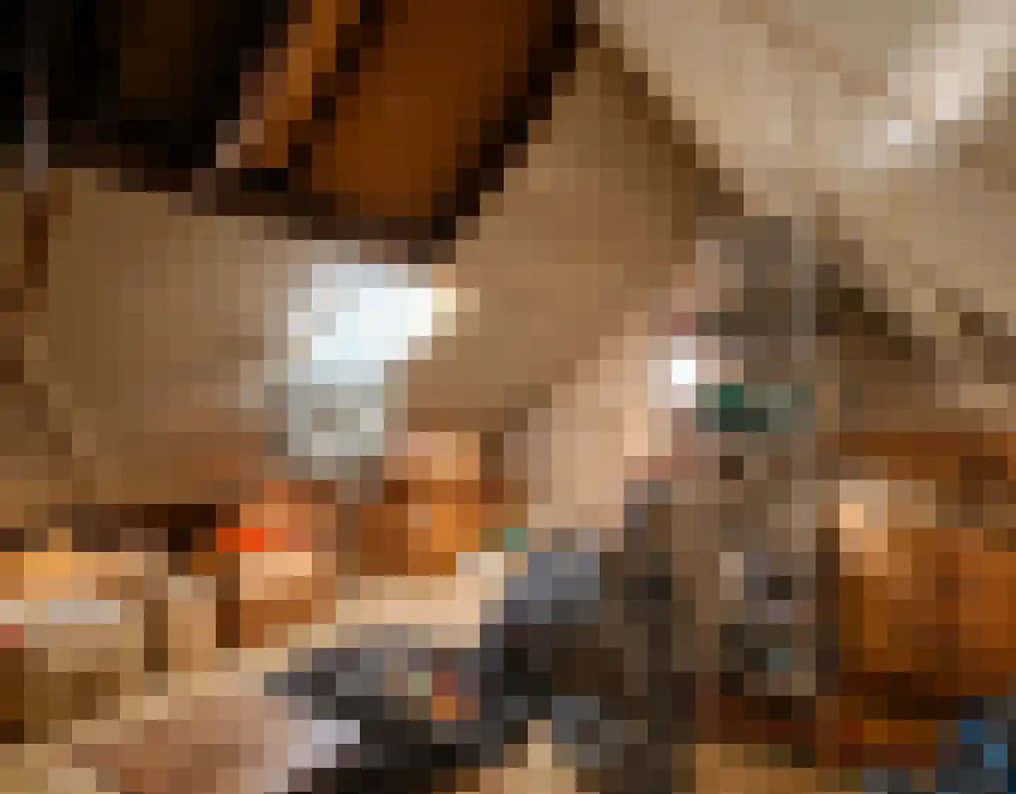 de Oude Melkhaven 20 Raamsdonk thumbnail 9