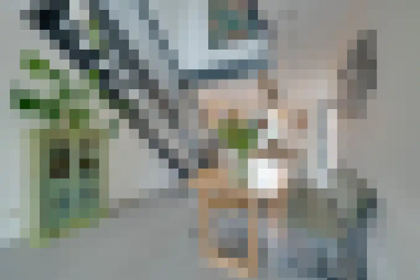 De Oude Molen 21 Muiden thumbnail 10