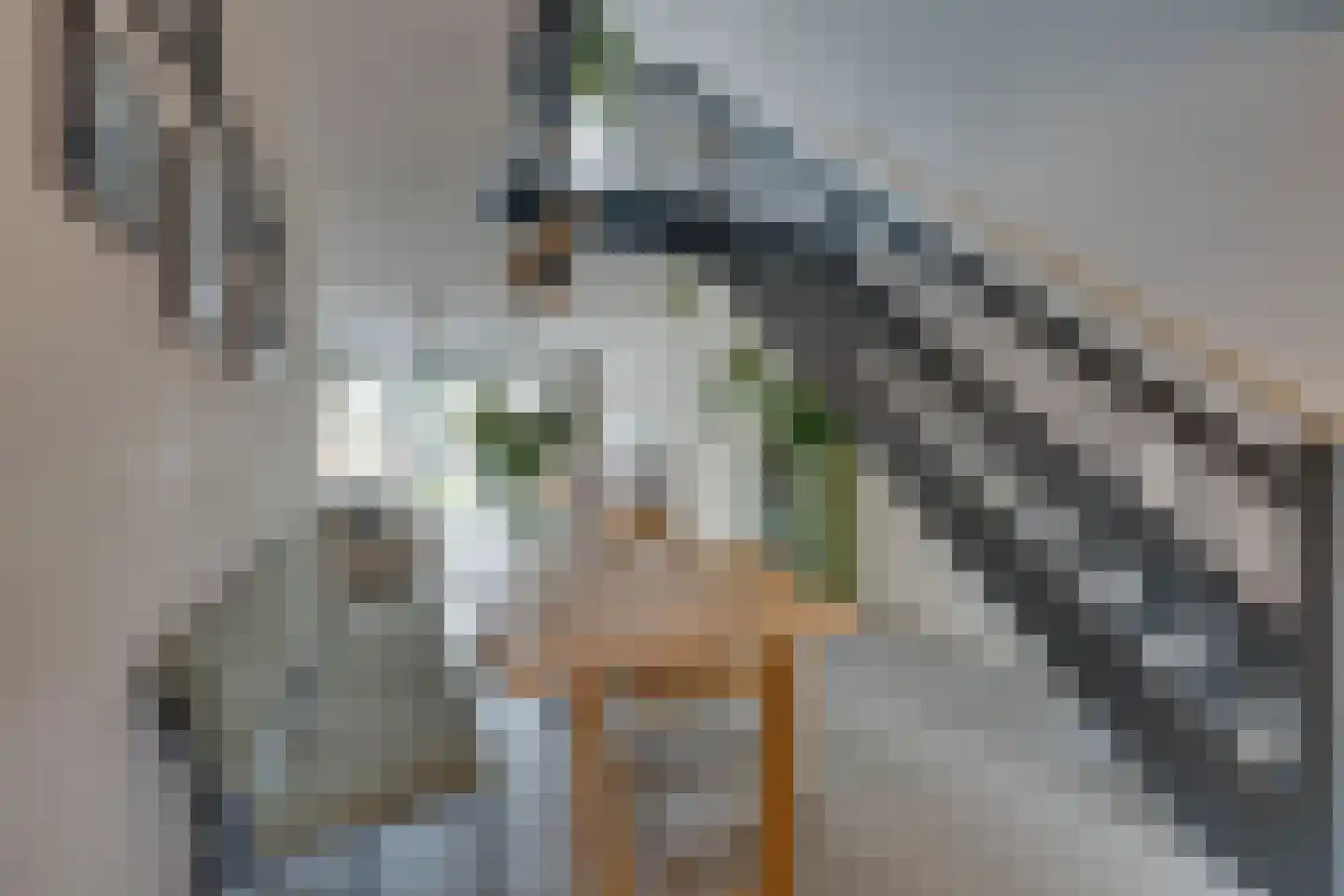 De Oude Molen 21 Muiden thumbnail 11