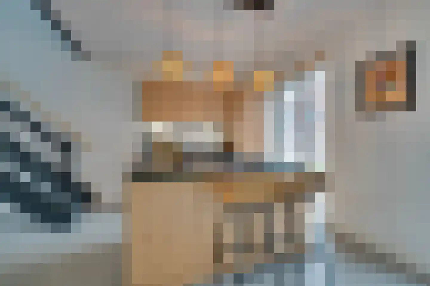 De Oude Molen 21 Muiden thumbnail 16