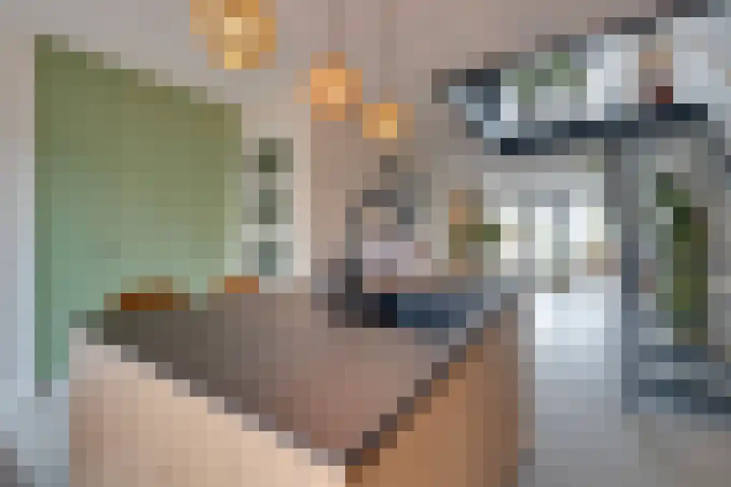 De Oude Molen 21 Muiden thumbnail 17