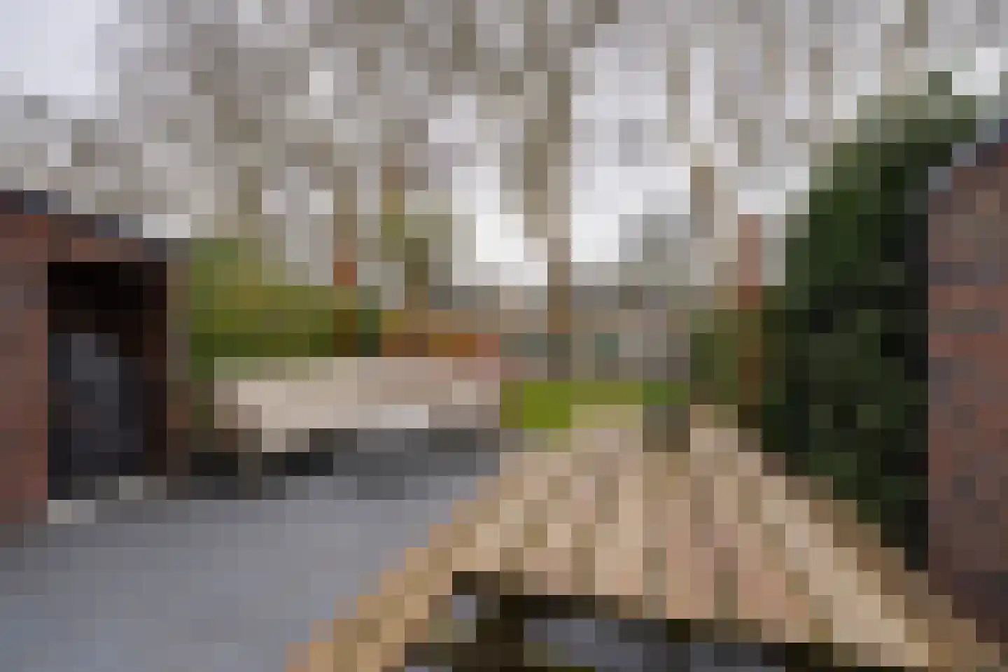 De Oude Molen 21 Muiden thumbnail 18