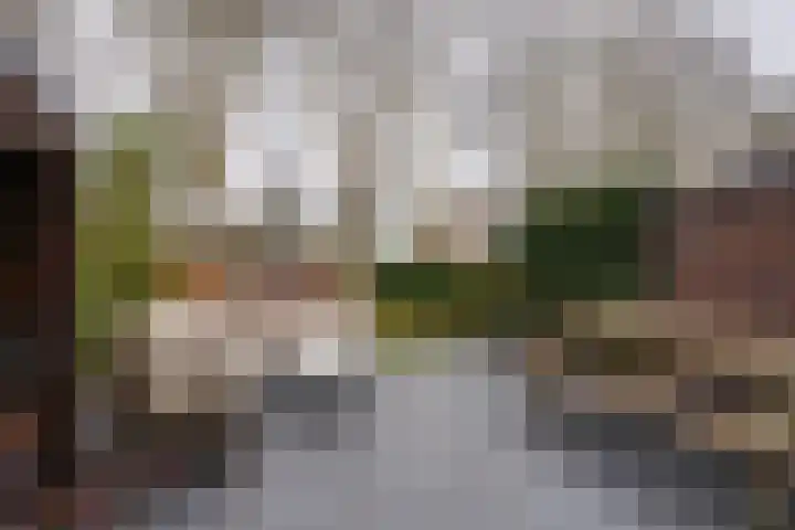 De Oude Molen 21 Muiden thumbnail 19