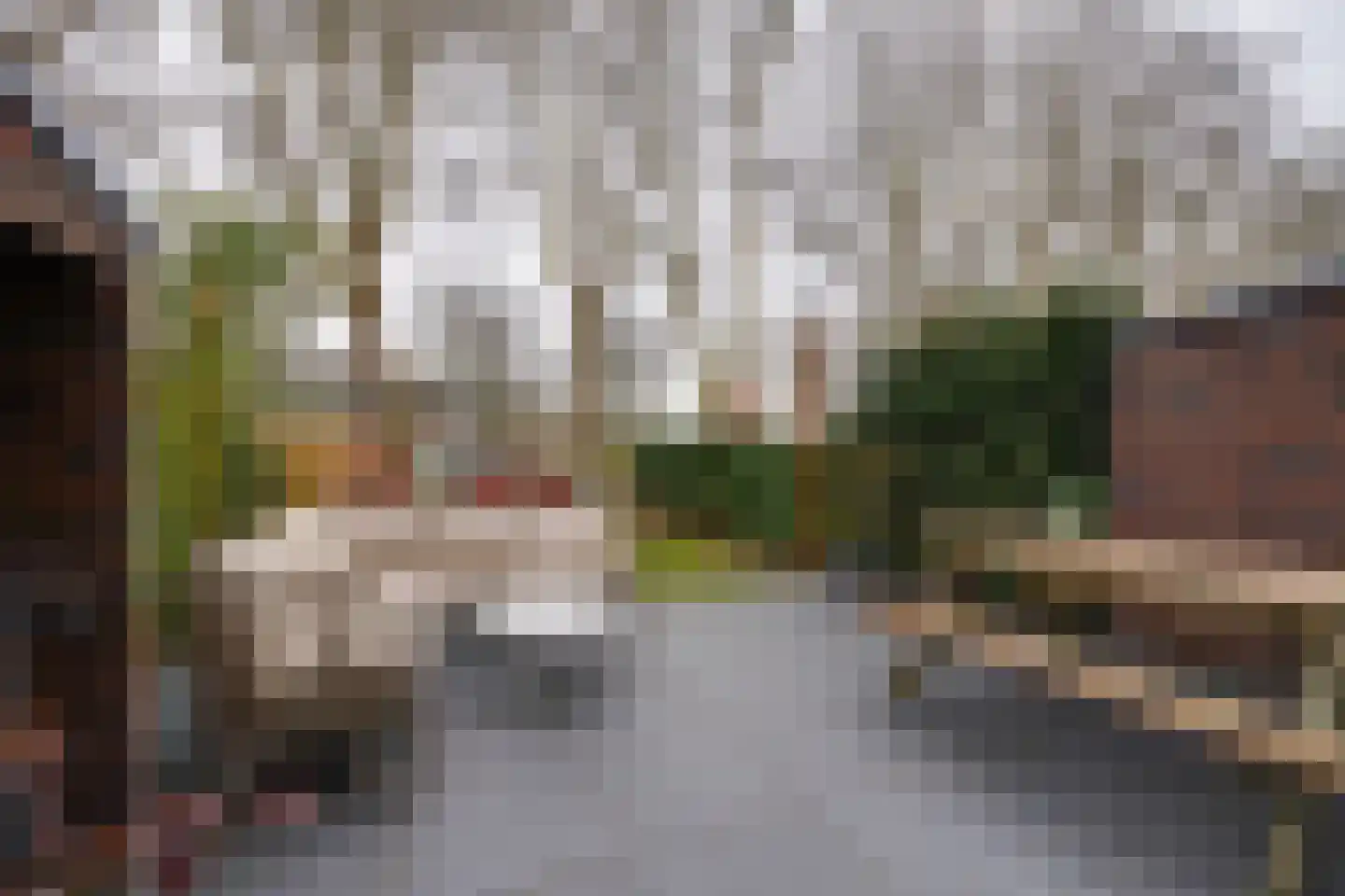 De Oude Molen 21 Muiden thumbnail 19
