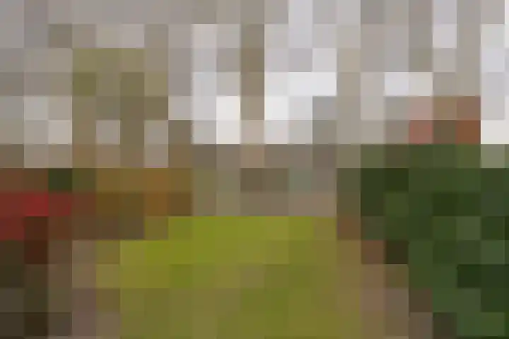 De Oude Molen 21 Muiden thumbnail 21
