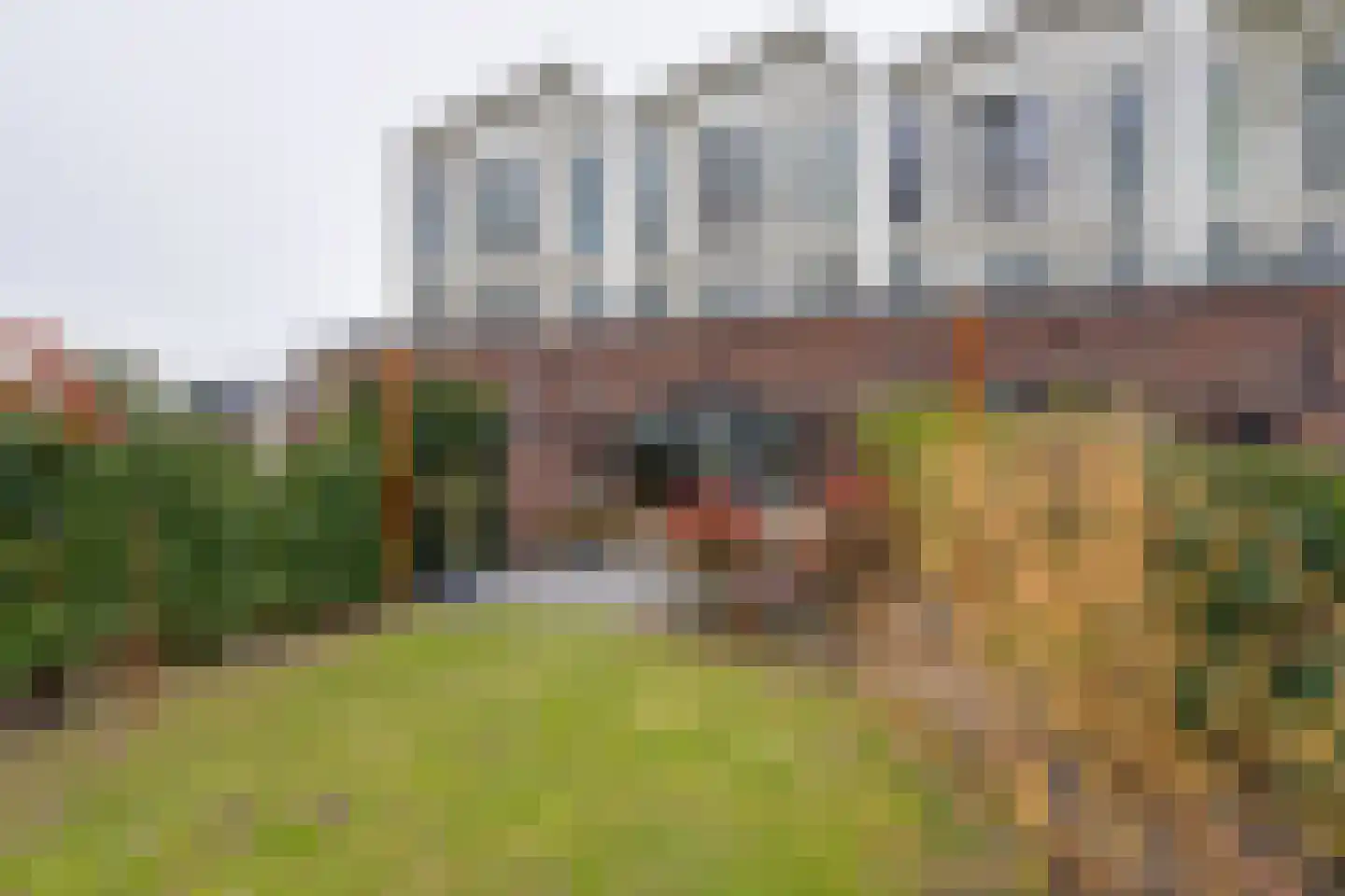 De Oude Molen 21 Muiden thumbnail 23