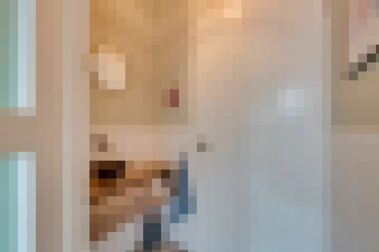 De Oude Molen 21 Muiden thumbnail 25