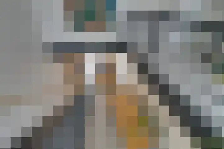 De Oude Molen 21 Muiden thumbnail 28