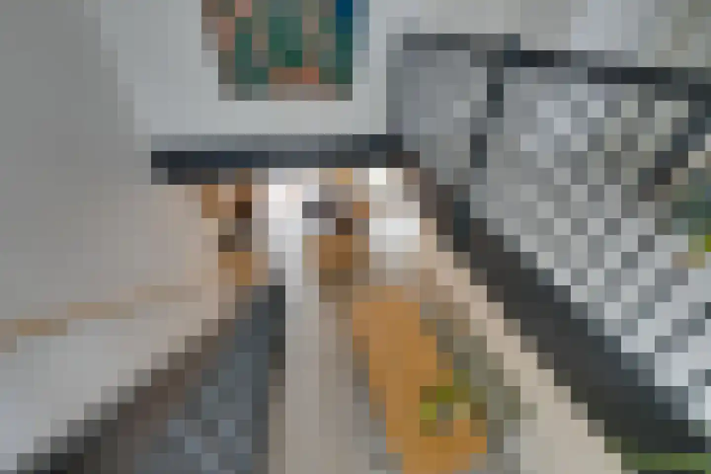 De Oude Molen 21 Muiden thumbnail 28