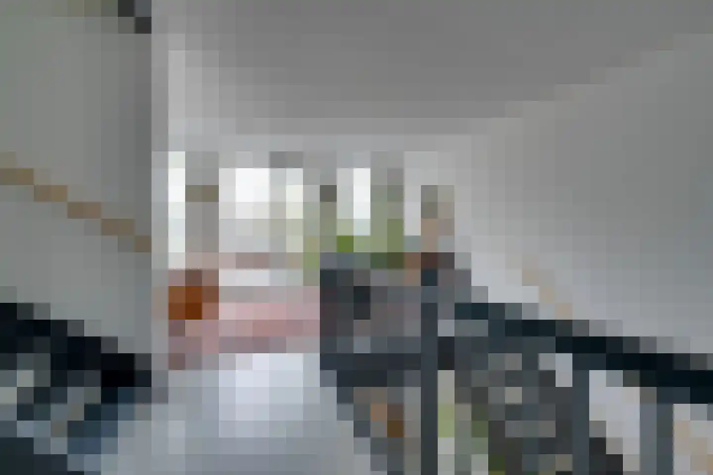 De Oude Molen 21 Muiden thumbnail 32