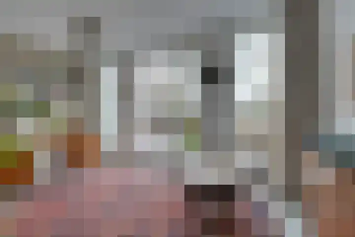 De Oude Molen 21 Muiden thumbnail 33