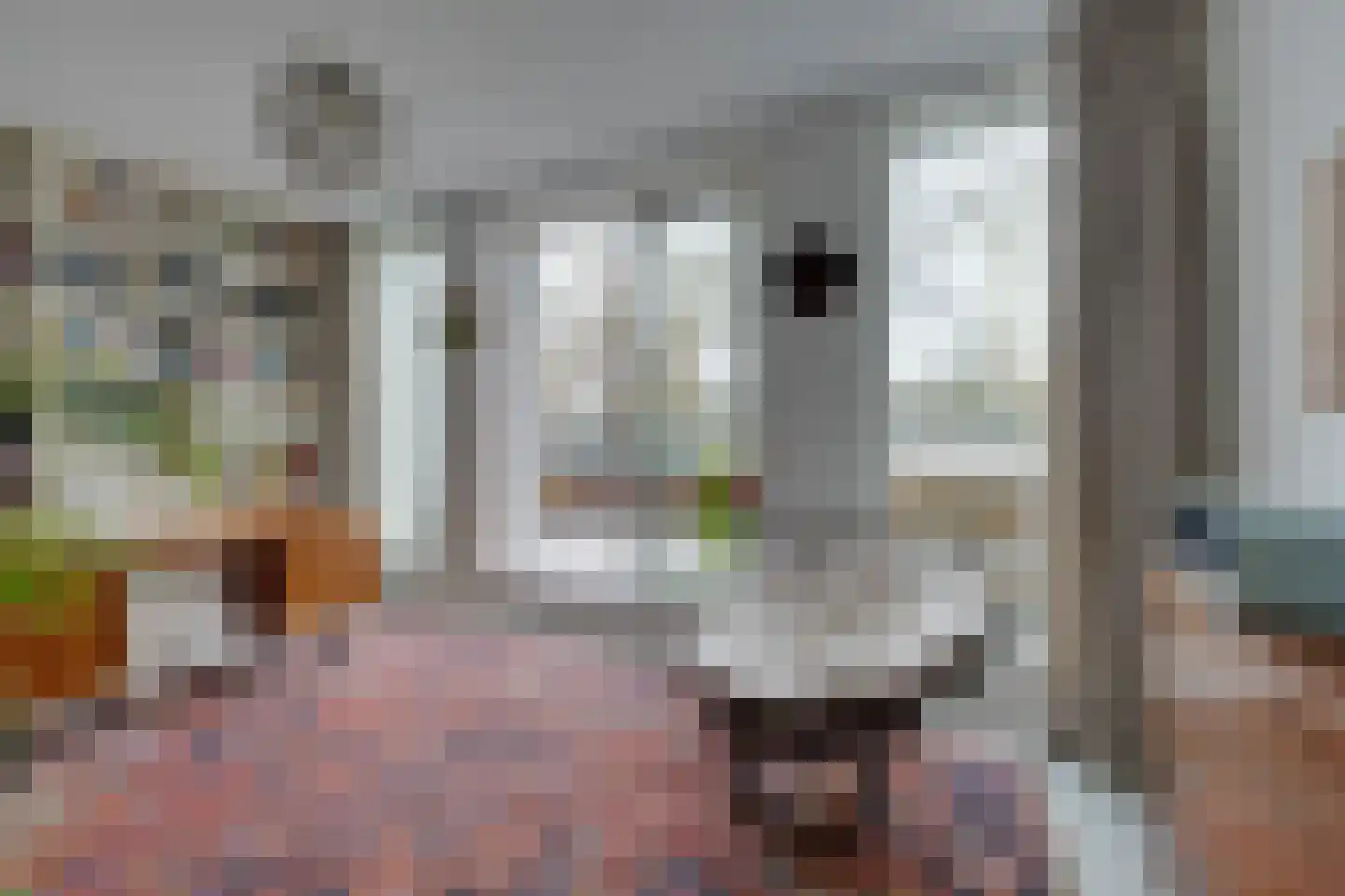 De Oude Molen 21 Muiden thumbnail 33