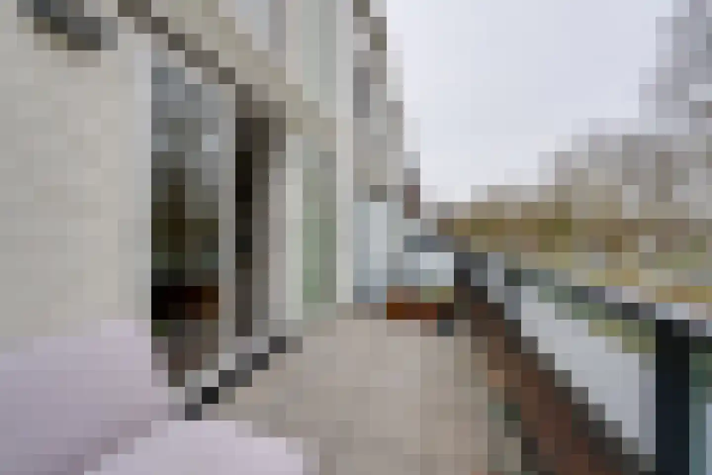De Oude Molen 21 Muiden thumbnail 35