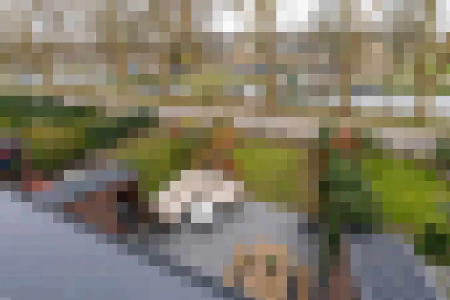 De Oude Molen 21 Muiden thumbnail 36
