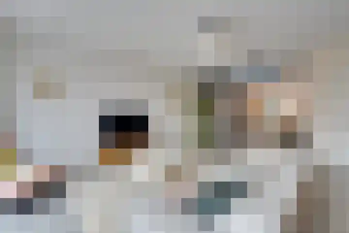 De Oude Molen 21 Muiden thumbnail 4
