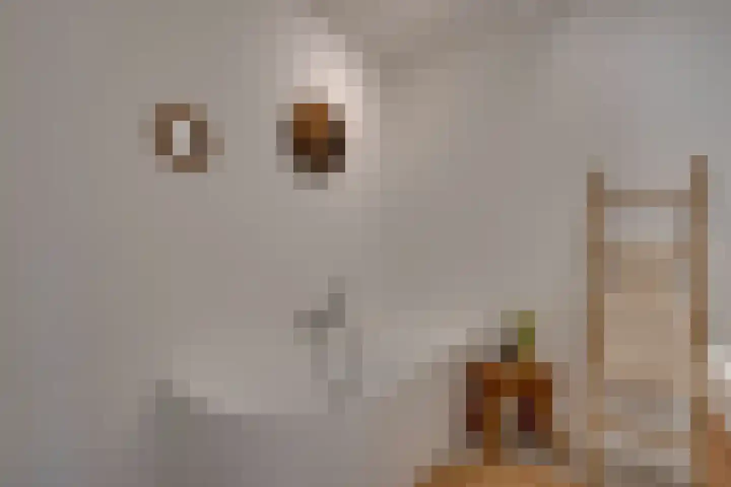 De Oude Molen 21 Muiden thumbnail 52