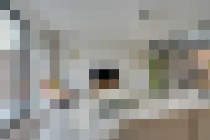 De Oude Molen 21 Muiden thumbnail 7