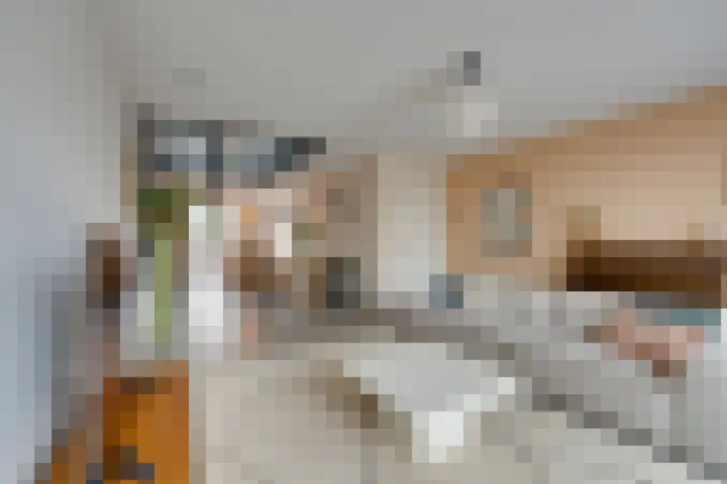 De Oude Molen 21 Muiden thumbnail 9
