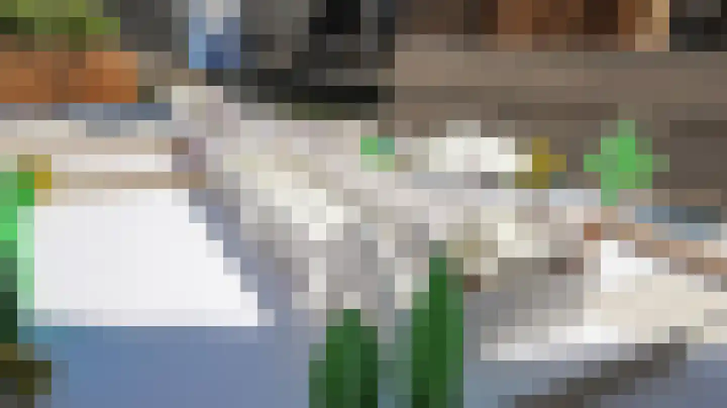 De Oude Molen 5 Amstelveen thumbnail 33
