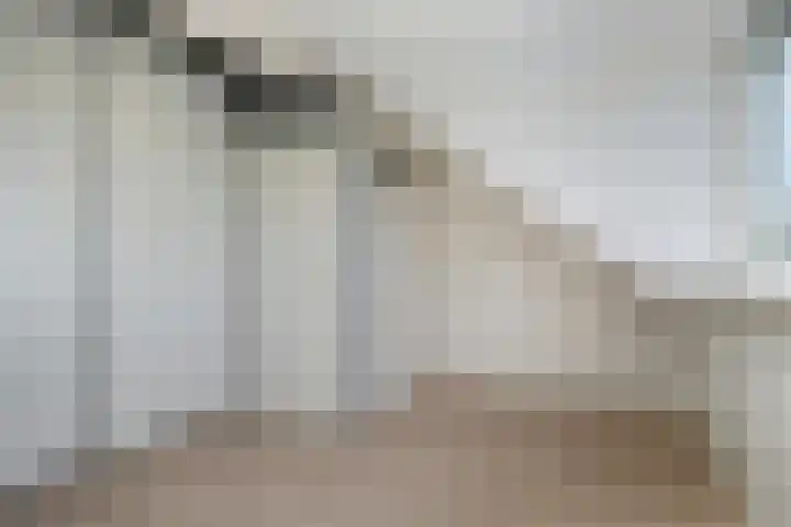 De Oude Munt 14 Amersfoort thumbnail 23