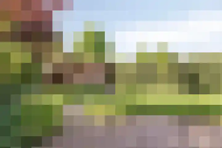 De Oude Munt 14 Amersfoort thumbnail 4