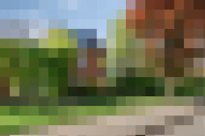 De Oude Munt 14 Amersfoort thumbnail 7