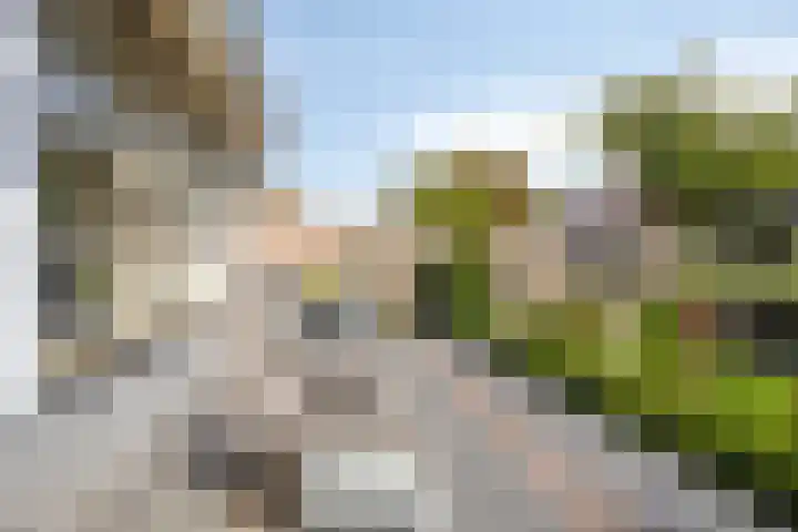 De Oude Munt 17 Amersfoort thumbnail 32