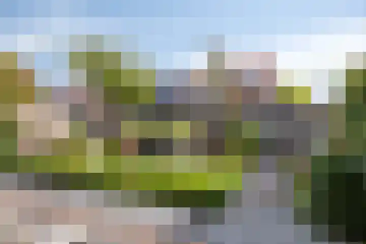 De Oude Munt 17 Amersfoort thumbnail 33