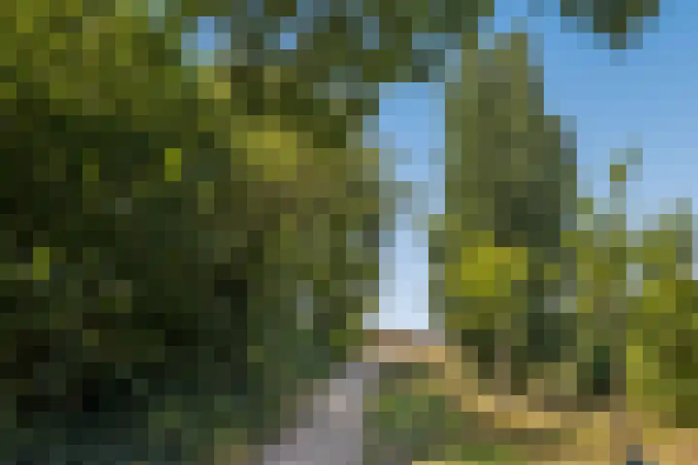 De Oude Munt 24 Amersfoort thumbnail 70