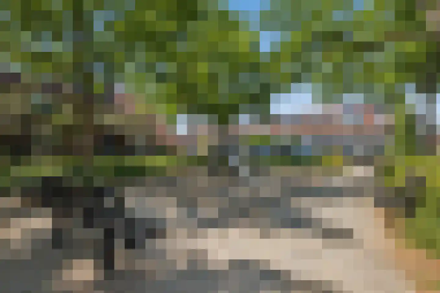 De Oude Munt 24 Amersfoort thumbnail 71