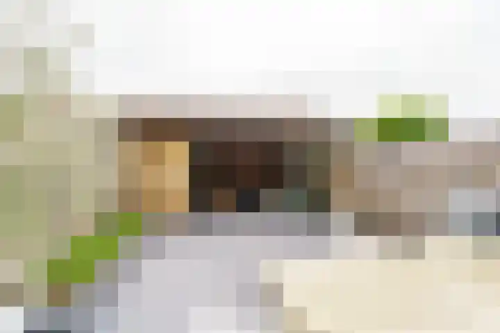 De Oude Munt 40 Amersfoort thumbnail 22