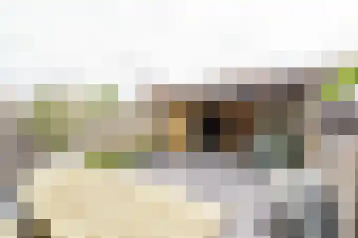De Oude Munt 40 Amersfoort thumbnail 24