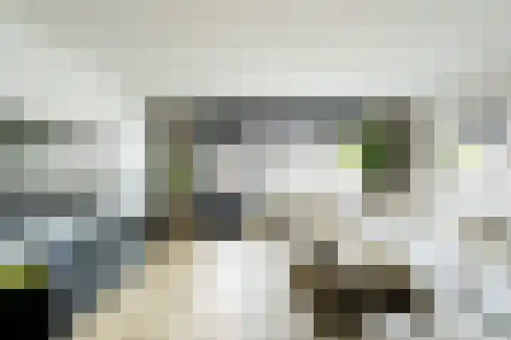 De Oude Munt 40 Amersfoort thumbnail 6