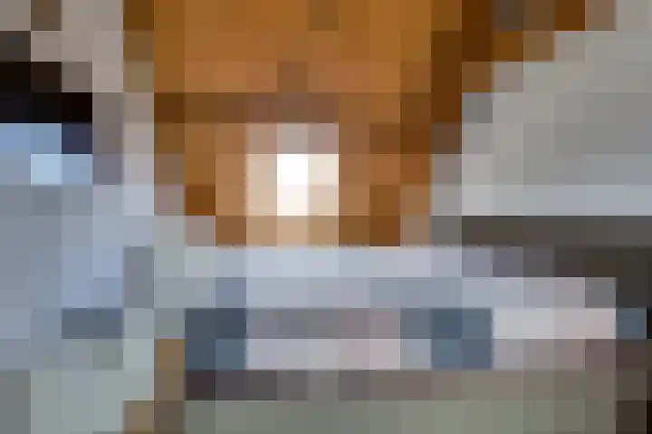 De Oude School 3 Almkerk thumbnail 19