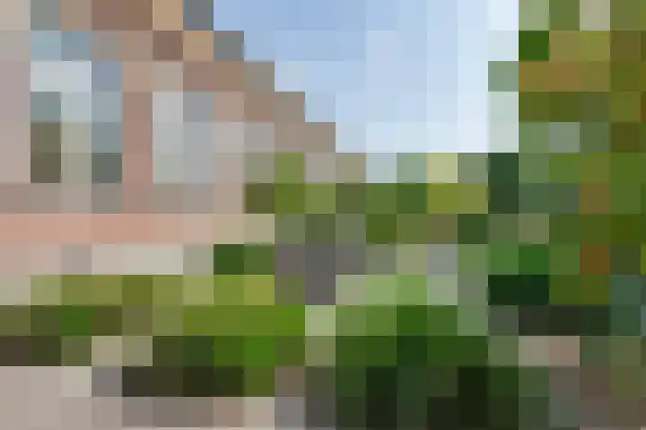 De Oude School 3 Almkerk thumbnail 28