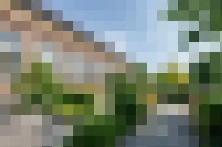 De Oude School 3 Almkerk thumbnail 29