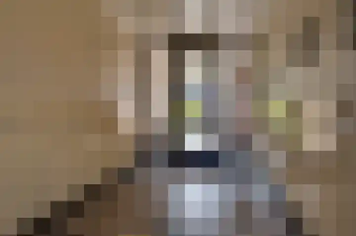 De Oude School 3 Almkerk thumbnail 4