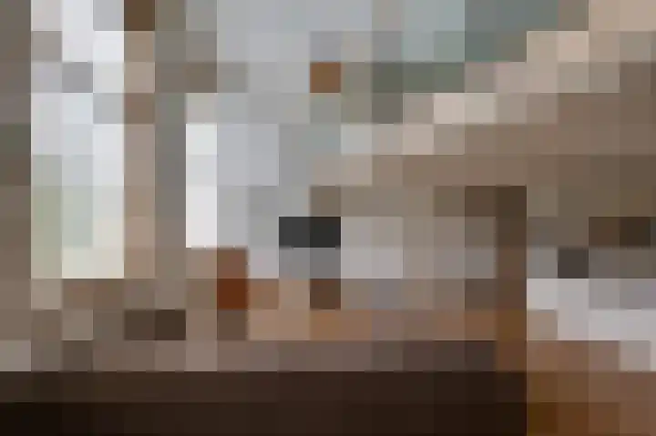 De Oude School 3 Almkerk thumbnail 8