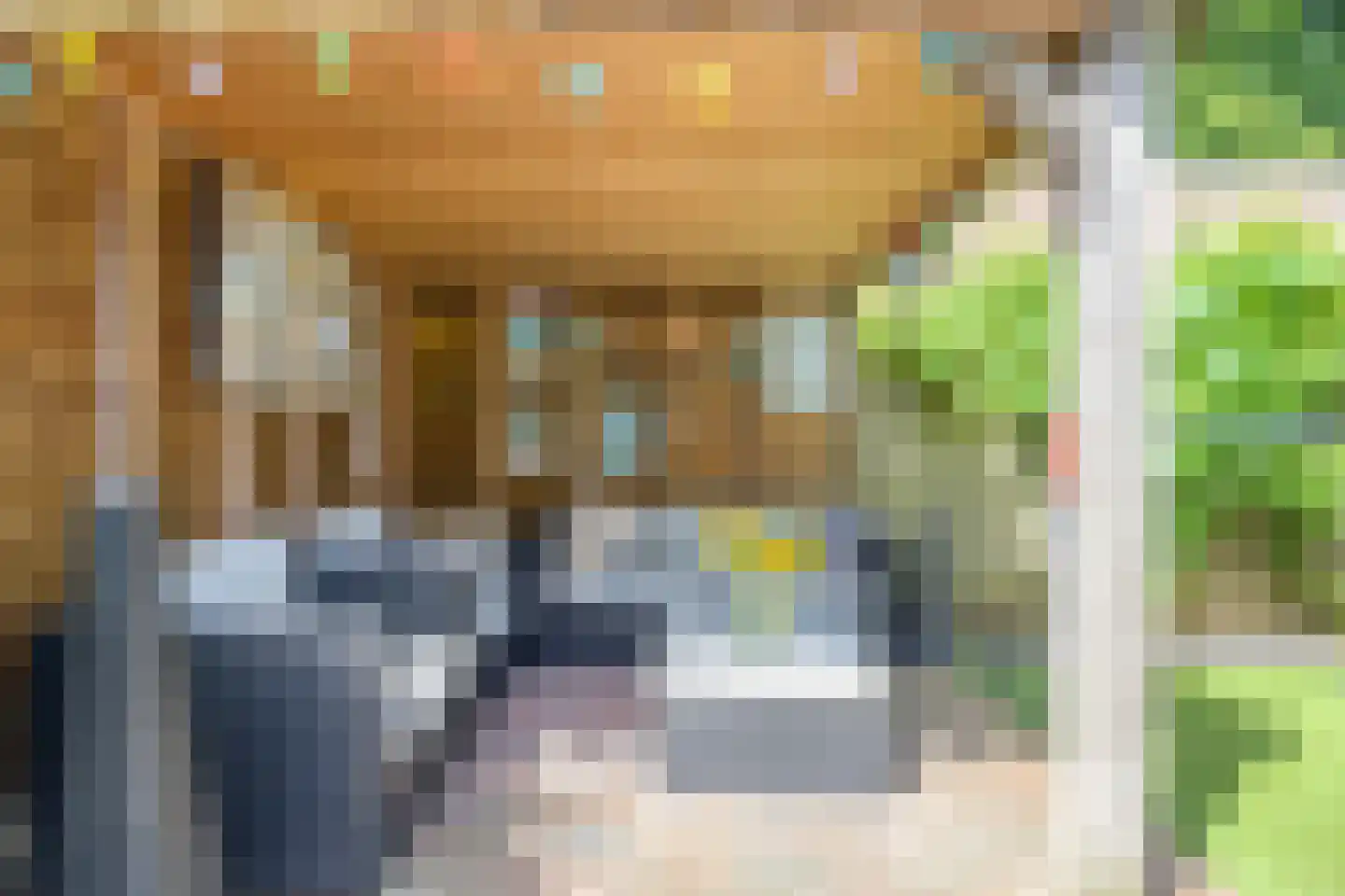 De Oude Steegh 7 Rijpwetering thumbnail 18