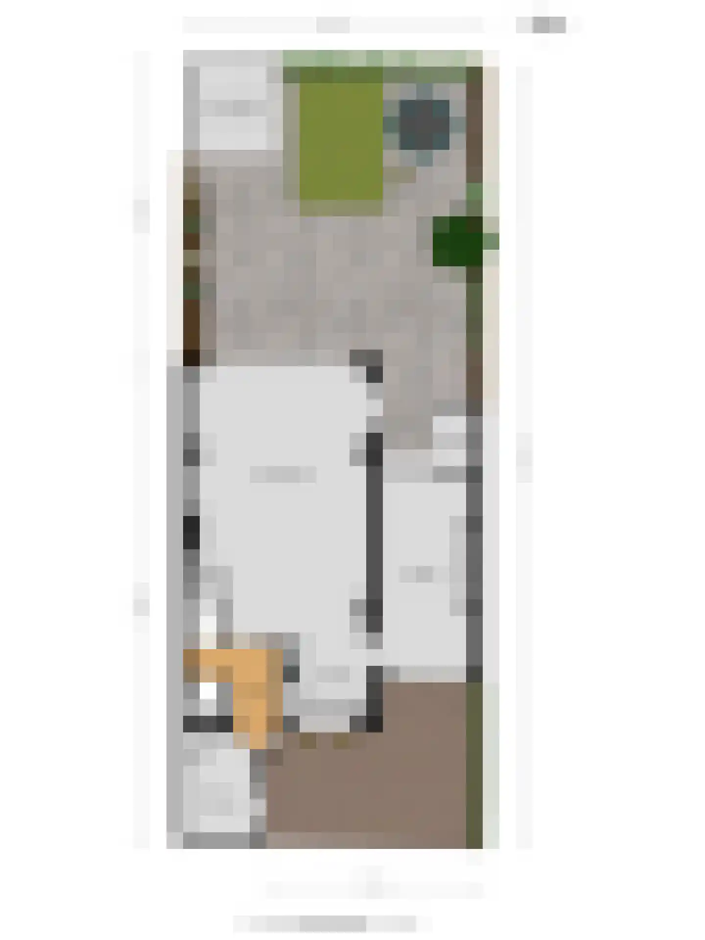 De Oude Steegh 7 Rijpwetering thumbnail 22