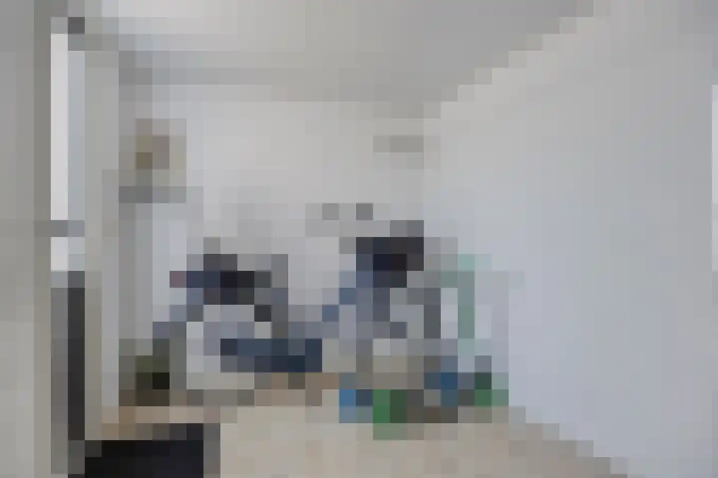 De Oude Steegh 7 Rijpwetering thumbnail 6