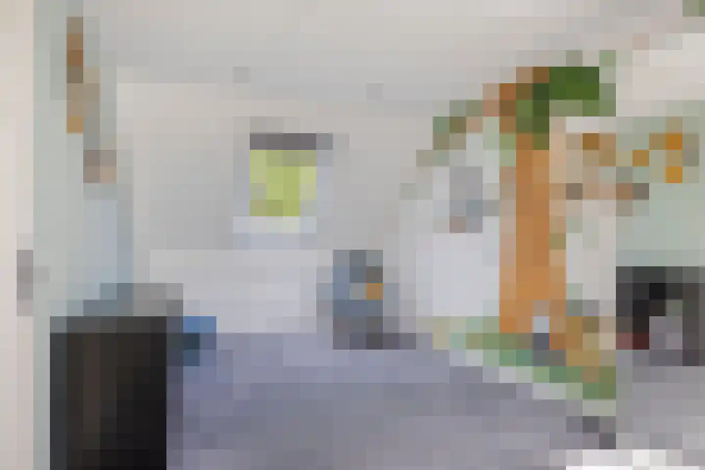 De Oude Steegh 7 Rijpwetering thumbnail 9
