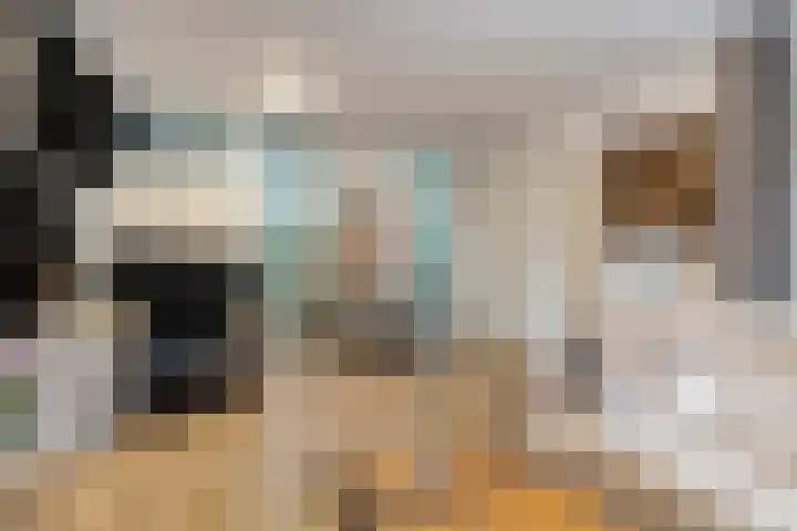 De Oude Vest 11 in Oss